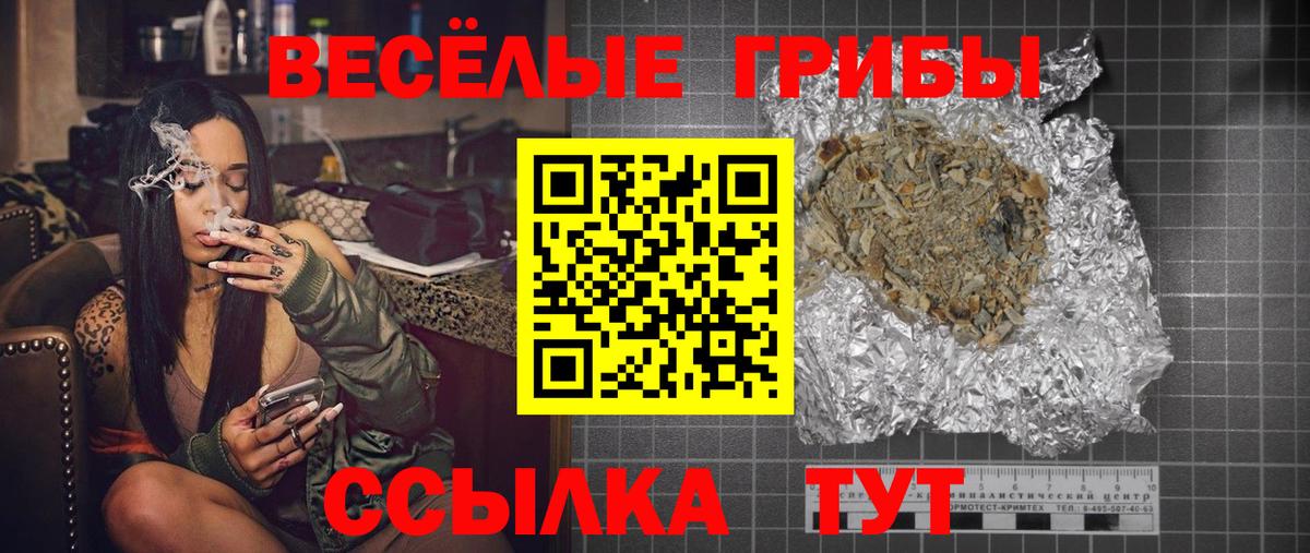 Галлюциногенные грибы Psilocybe Павлово