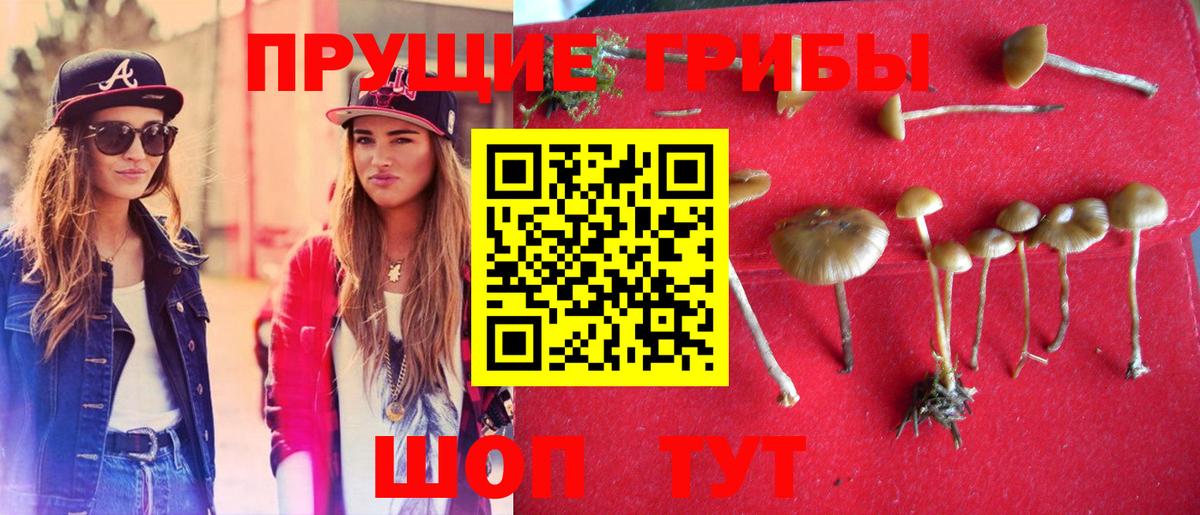 Павлово  Галлюциногенные грибы мицелий  Псилоцибиновые грибы Magic Shrooms  как найти закладки  Вход с VPN 